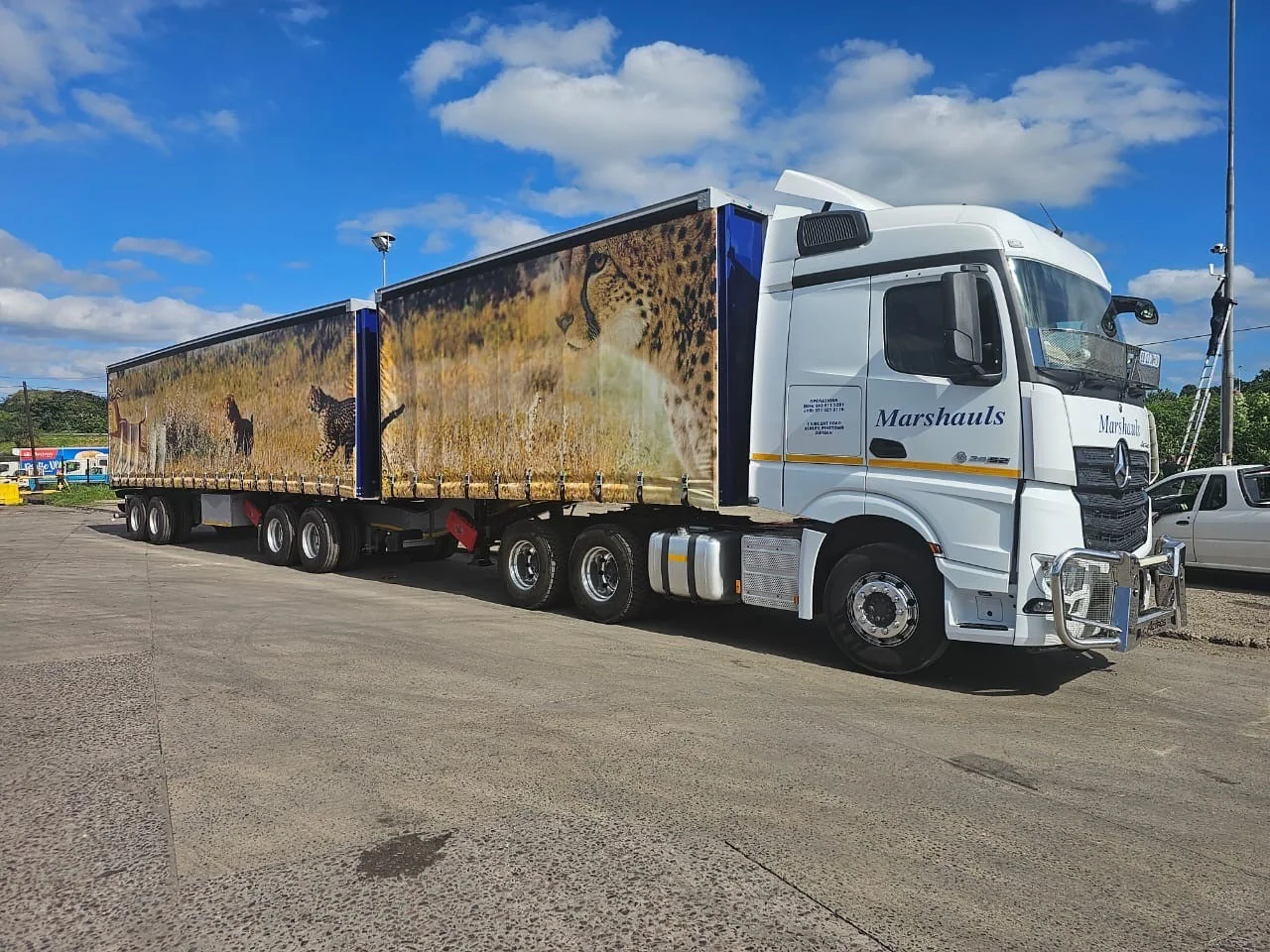 Marshauls Mercedes-Benz Actros interlink in cheetah curtain-side livery under a bright Southern African sky