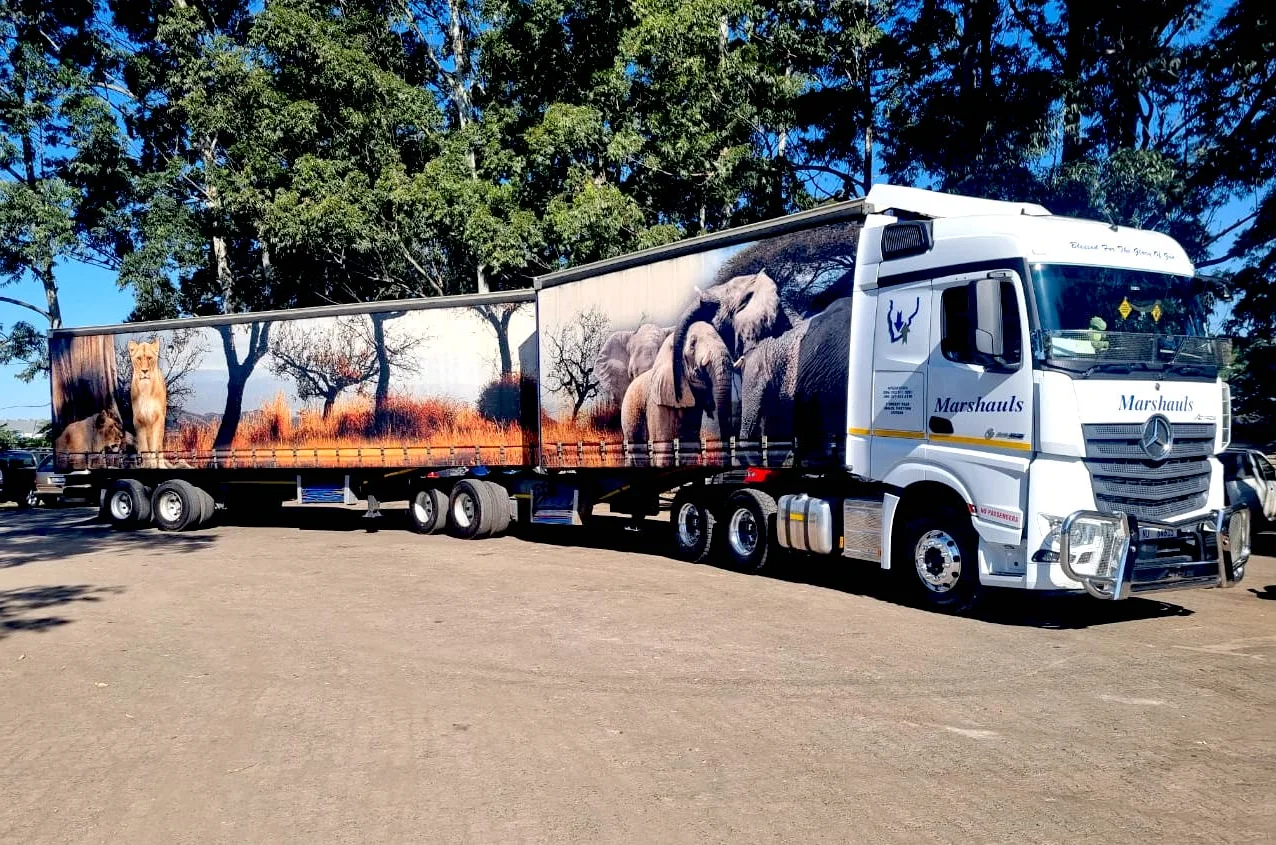 Actros interlink in elephant herd livery among gum trees